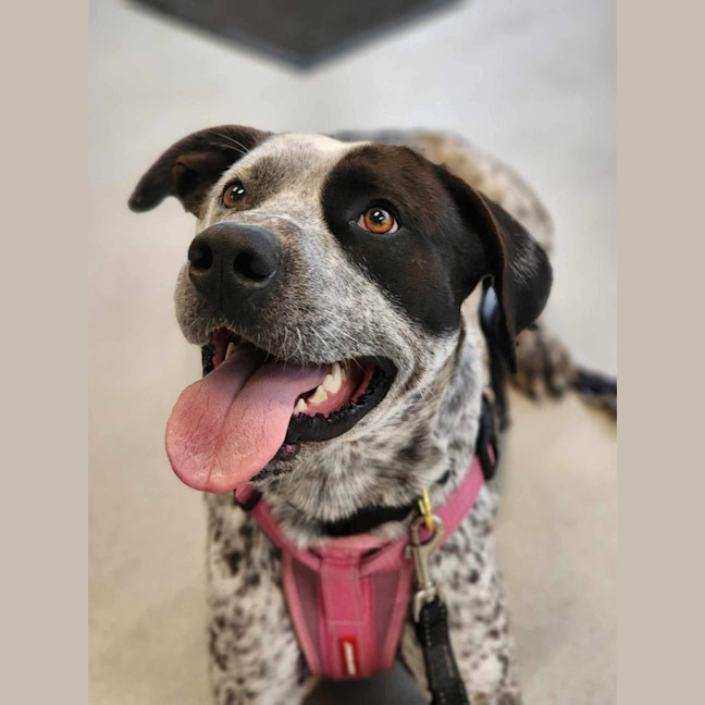 Photo of 🥑 Kevin 5463 🥑