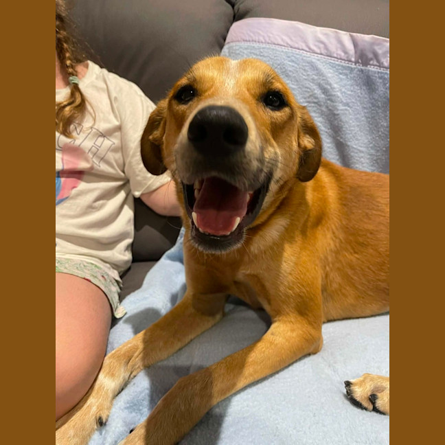 Photo of Banjo Kazooie