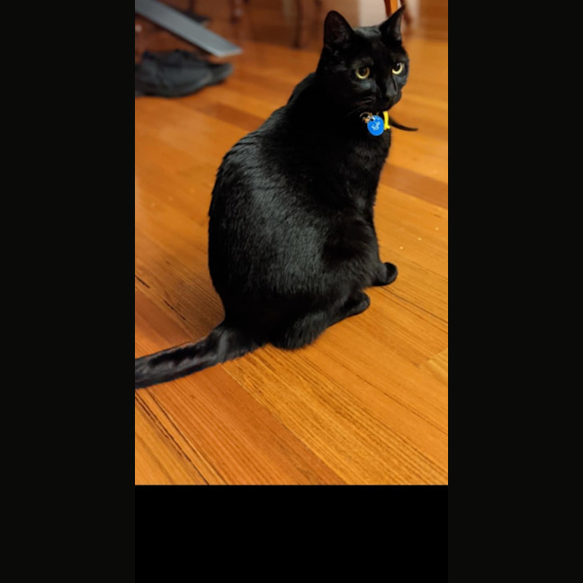 Photo of Kylo