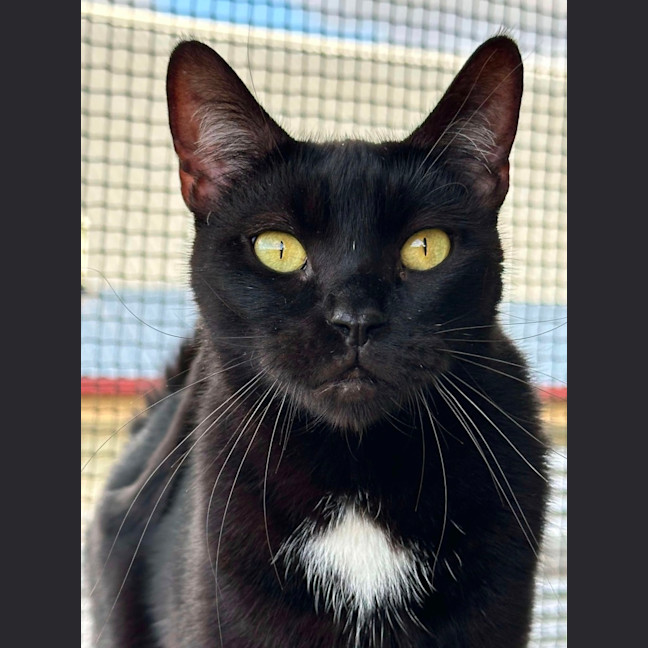 Photo of Taz 