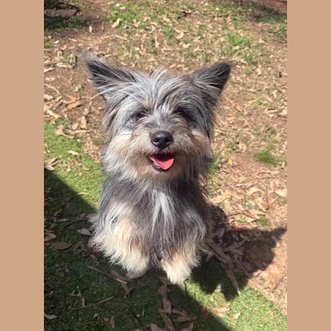Photo of Oakley