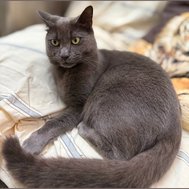 Photo of Luen (9019)