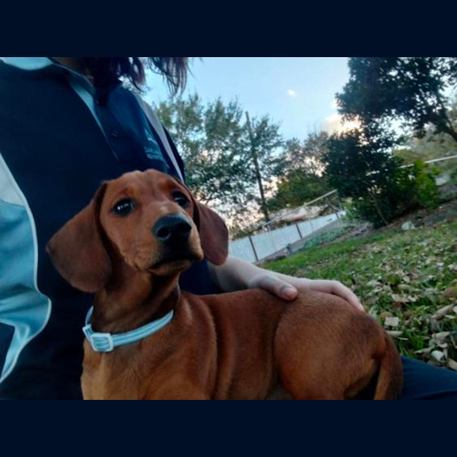 Photo of Wiggles