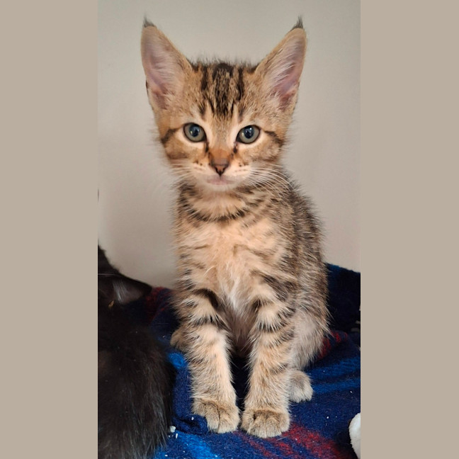 Photo of Moscow (9952)