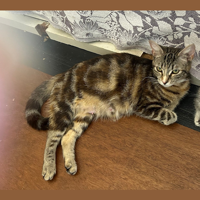 Photo of Molly