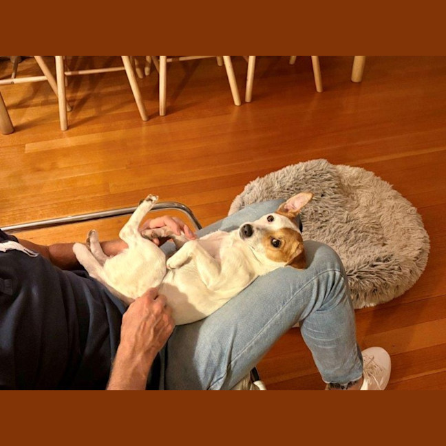 Photo of Jacky Chan Peggotty