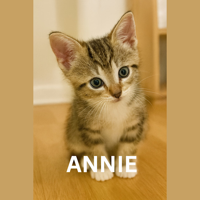 Photo of Annie