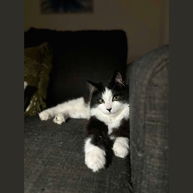 Photo of Timmy