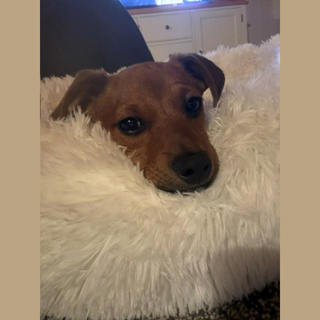 Photo of Happy