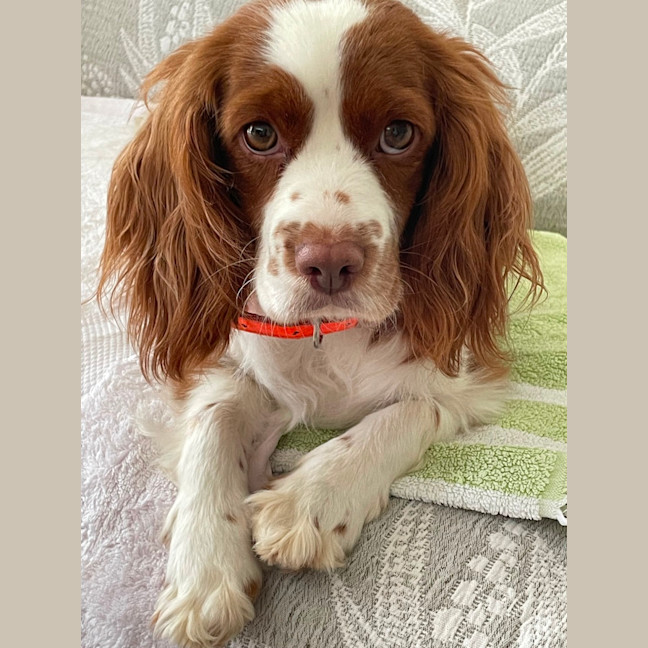 Photo of Beautiful Bindi 