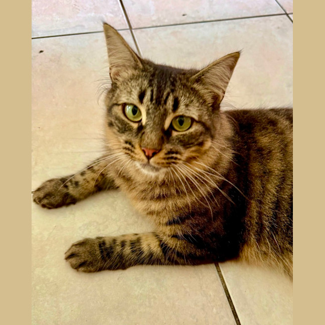 Photo of Pepper