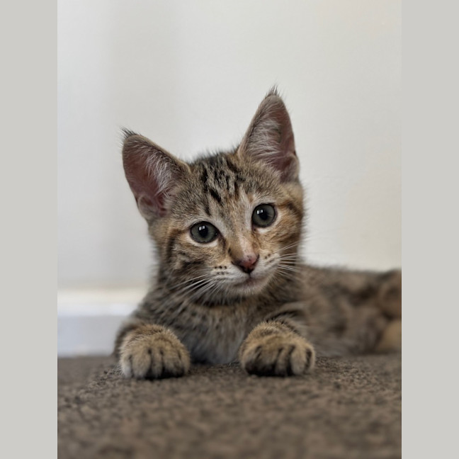 Photo of Marcie