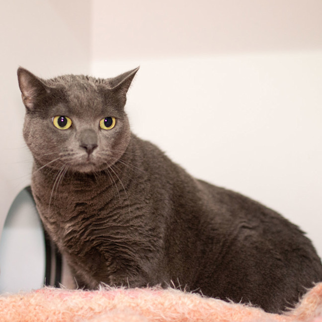Photo of Missy