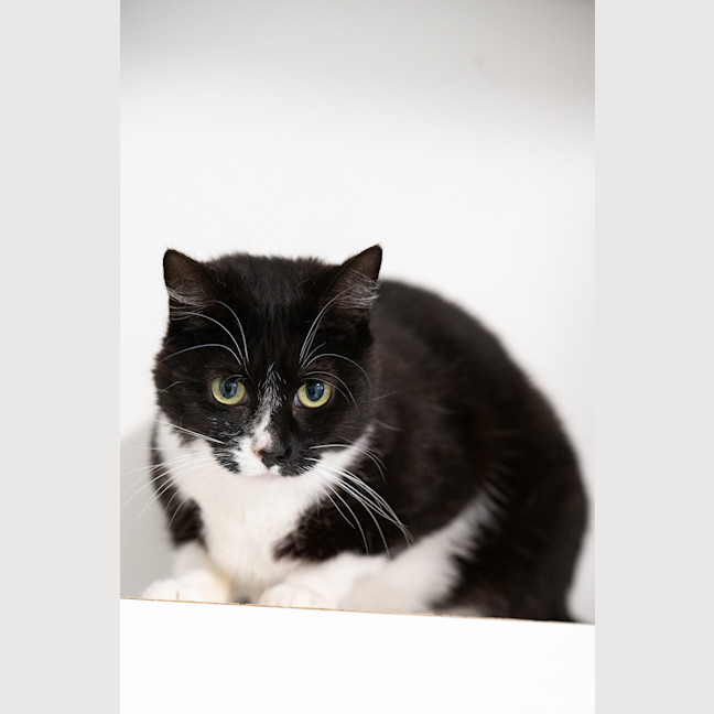 Photo of Molly