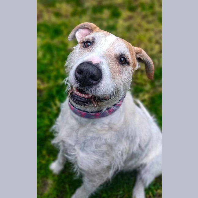 Photo of Bella
