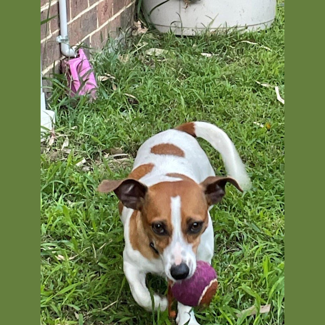 Photo of Daisy Kumara