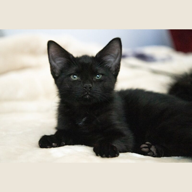 Photo of Lucien