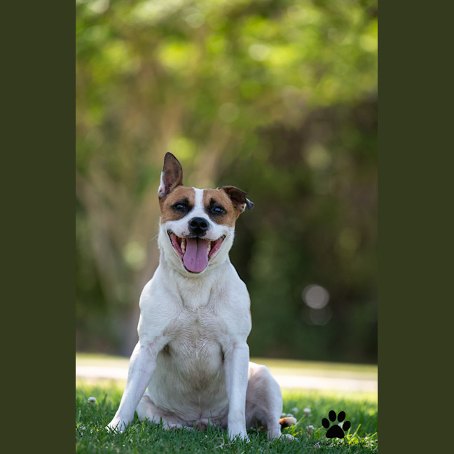 Photo of Monty