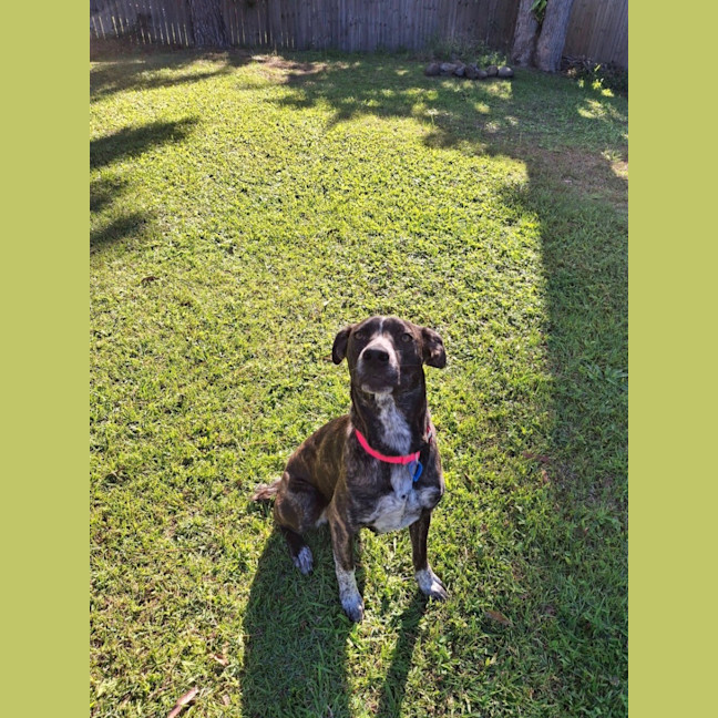 Photo of Coco