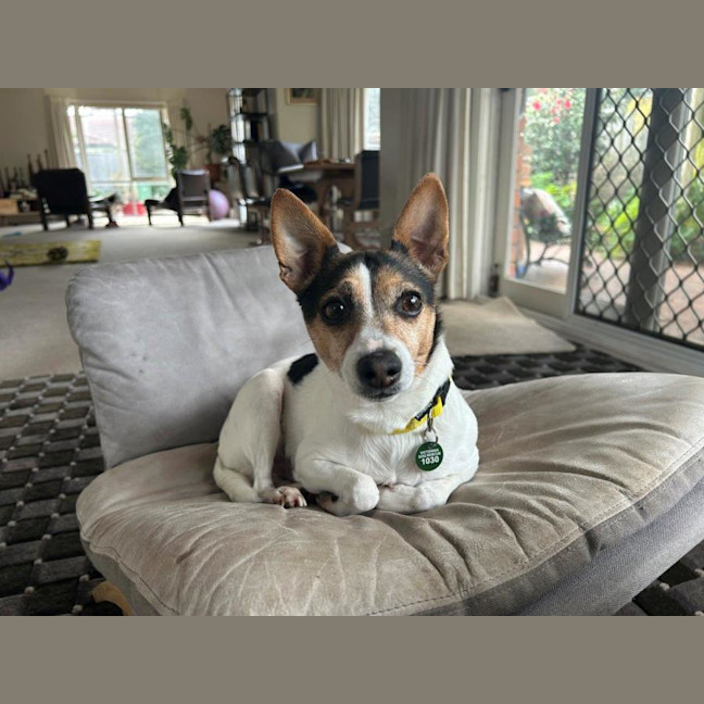 Photo of Oscar And Tilly Tamblyn