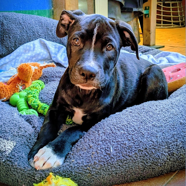 Photo of Amelia