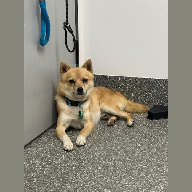 Photo of Snowy And Barney