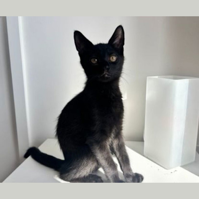 Photo of Cloudy