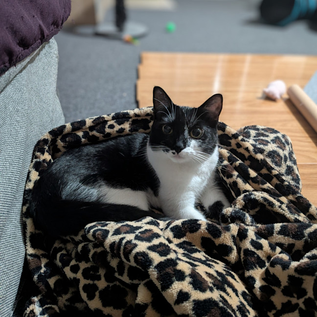 Photo of Lexi
