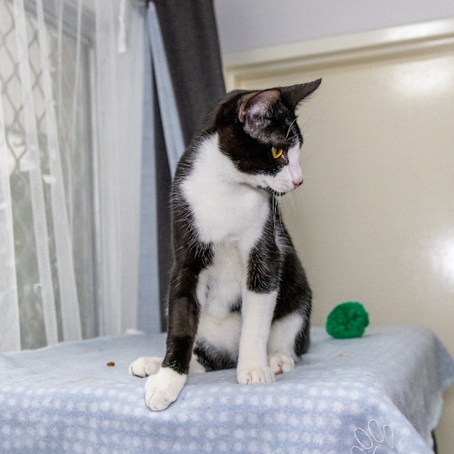 Photo of Monty