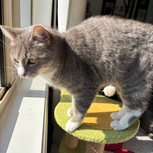 Photo of Millie