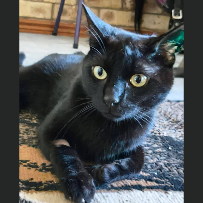 Photo of Vader