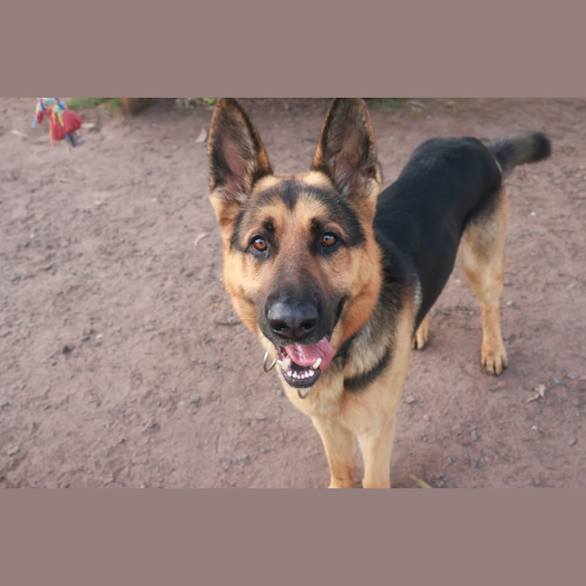 Photo of Max