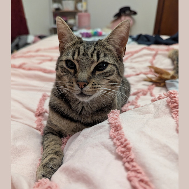 Photo of Desdemona