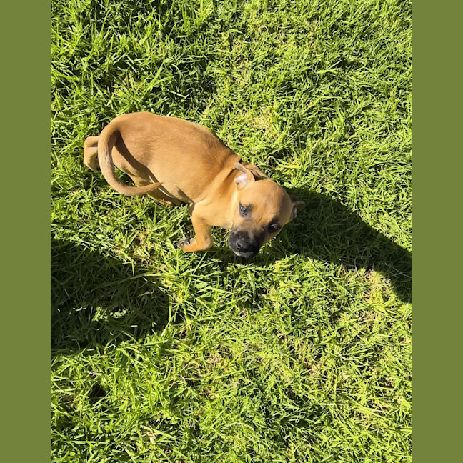 Photo of Luigi