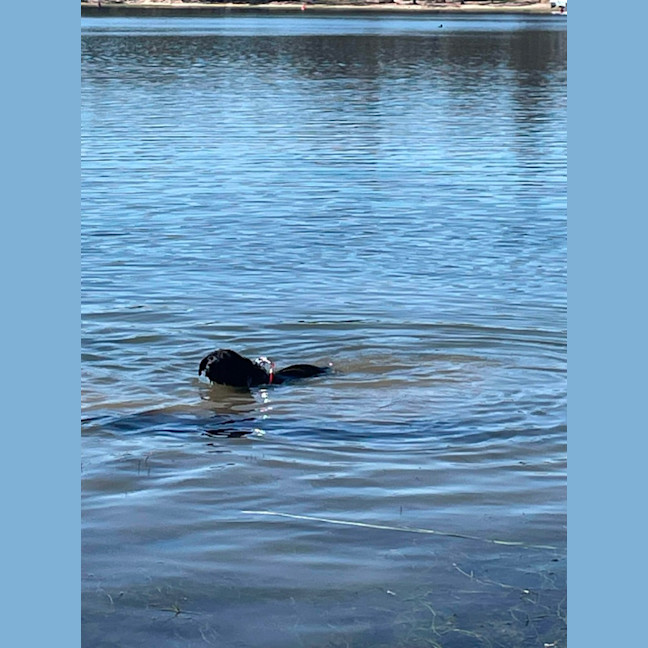 Photo of Maisey