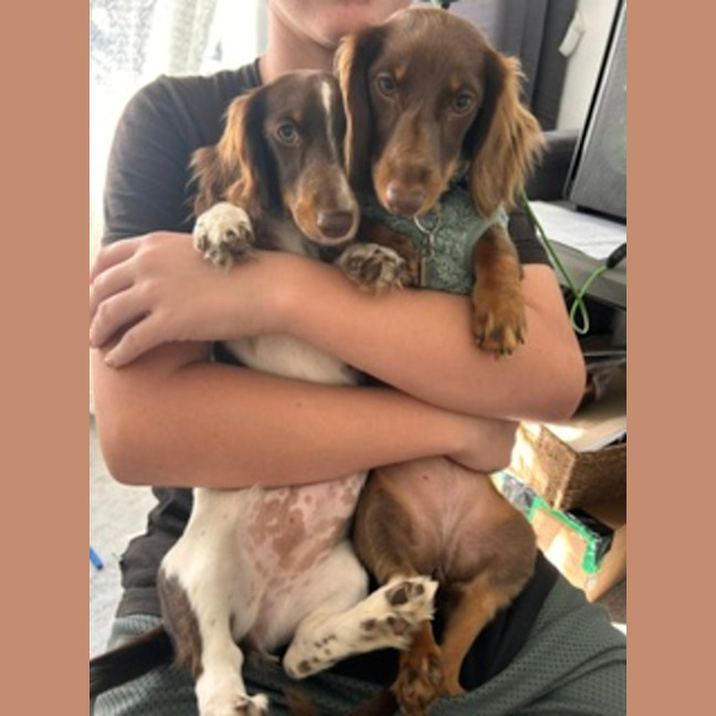 Photo of Paisley & Piper