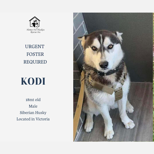 Photo of Kodi