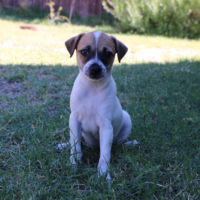 Photo of Mia