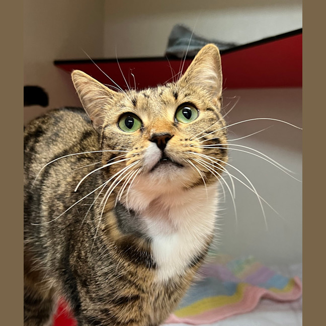 Photo of Luna