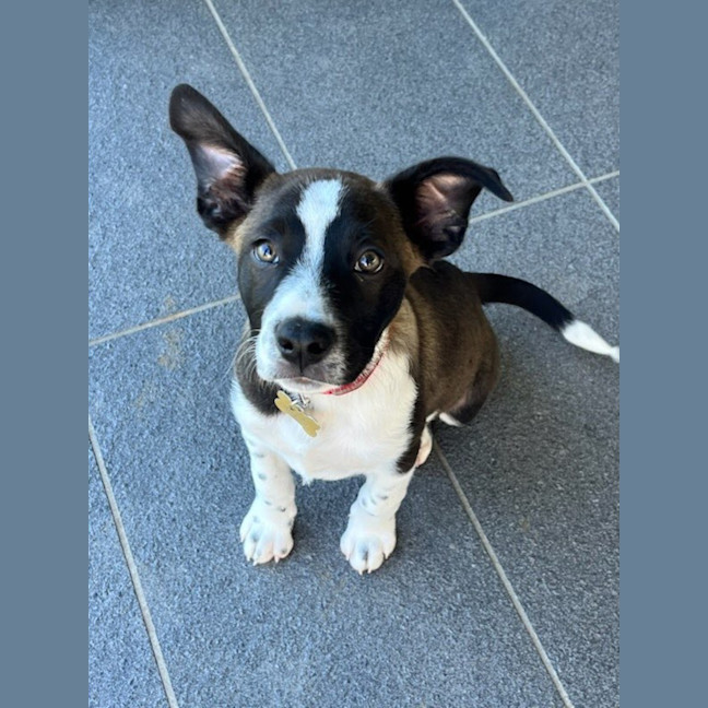 Photo of Cash