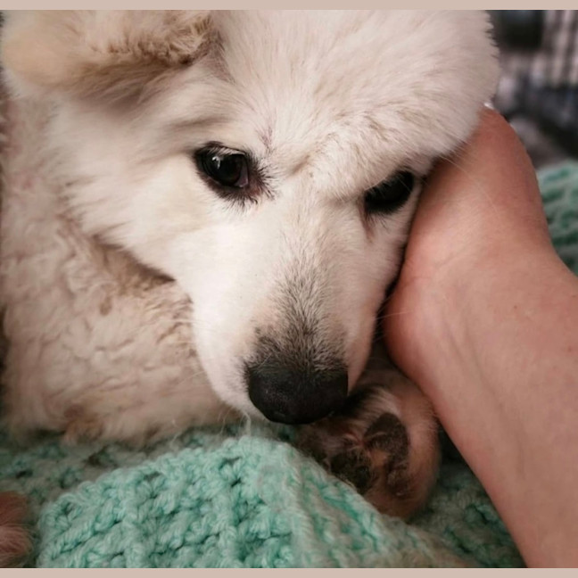 Photo of Keiko