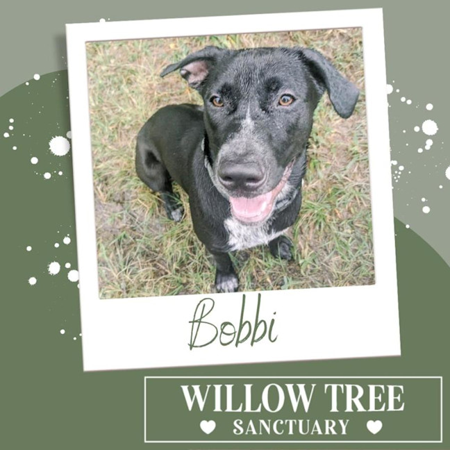 Photo of Bobbi