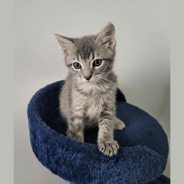 Photo of Asher