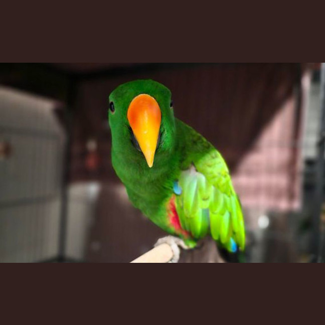 Photo of Kanye Nest