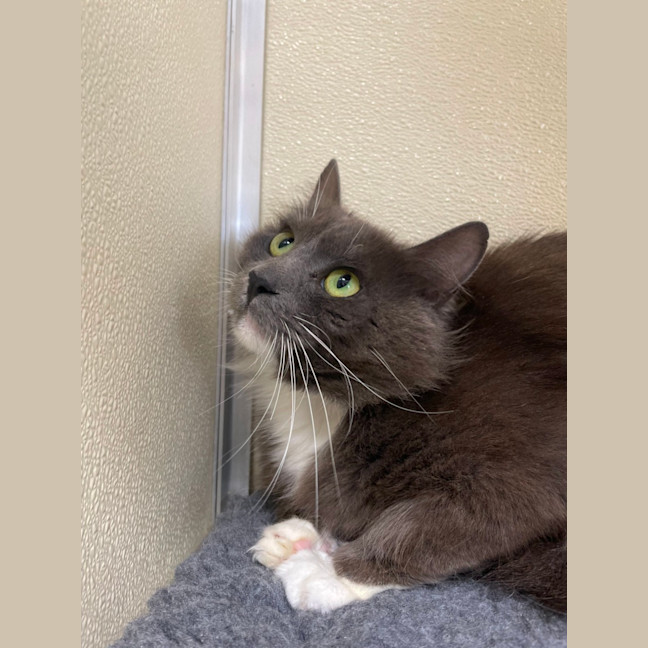 Photo of ✈ Reuben 5603 ✈