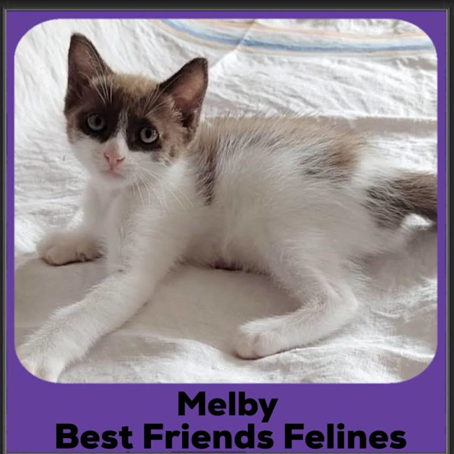 Photo of Melby