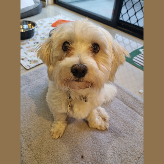 Photo of Max (Was Yoki ) 