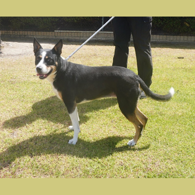 Photo of Tia