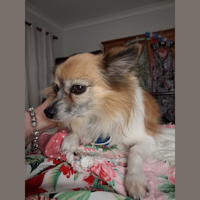 Photo of Duggie