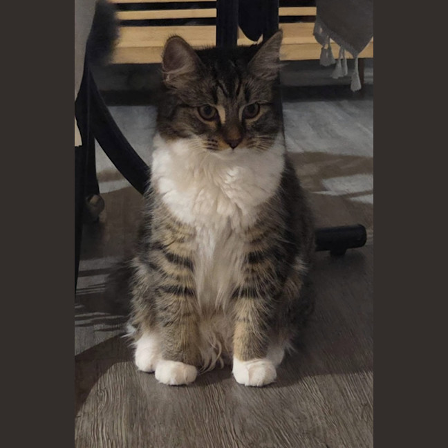 Photo of Dennis